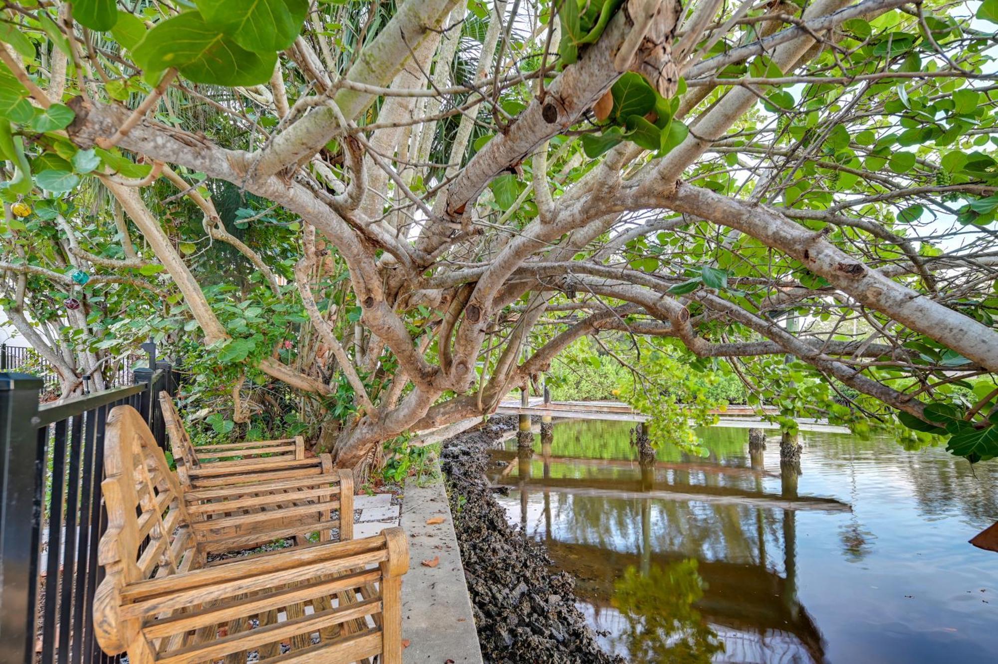 Pet-Friendly Waterfront Home - 2 Mi To Beach! Tarpon Springs Exterior foto